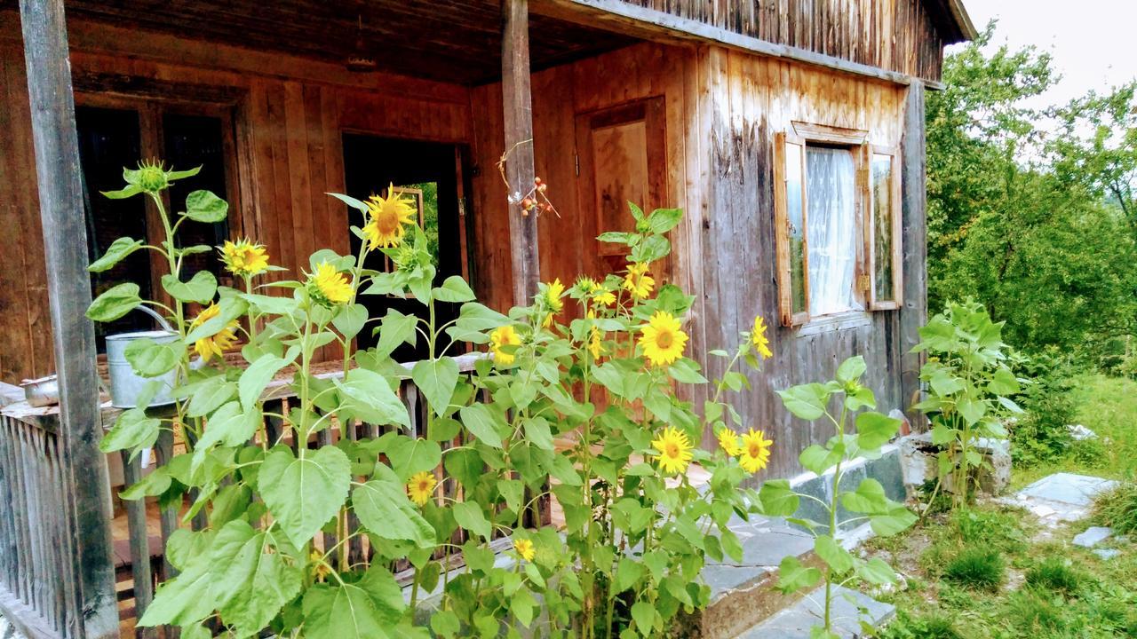 Discover Kinchkha Satsiskvilo Exterior photo