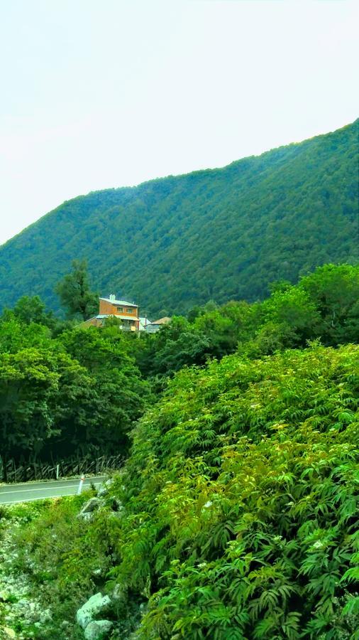Discover Kinchkha Satsiskvilo Exterior photo
